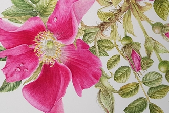 A painting of a flower