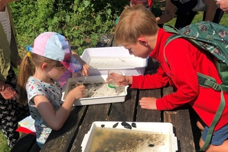 Children look at pond wildlife
