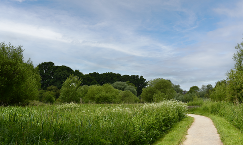 Smallbrook Meadows