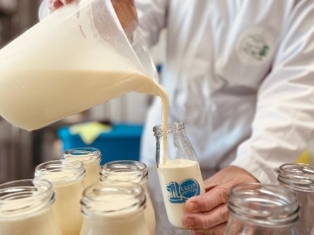 Pouring milk into a glass bottle