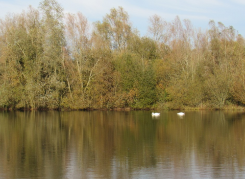 Photo of Lower Moor lake