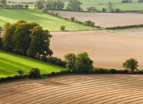 Photo of the Wiltshire countryside