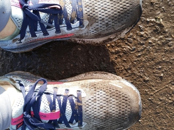 Muddy trainers