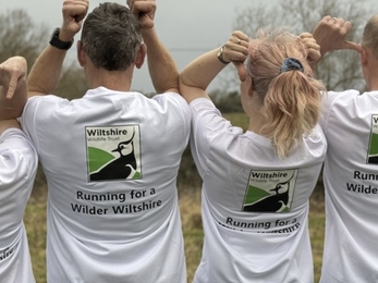 Care Farm staff in Wildlife Trust t-shirts
