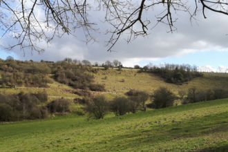 Photo of Coombe Bissett Down