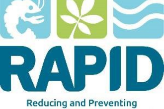 RAPID logo