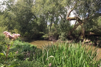 River Wylye