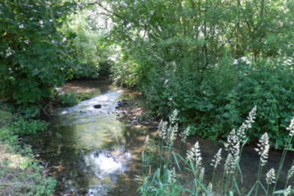 Bristol Avon By Brook