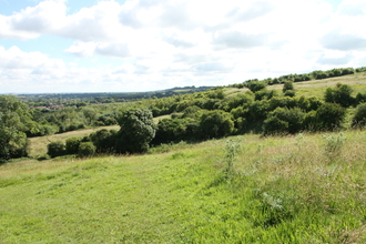 Clouts Wood