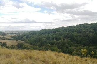 Clouts Wood