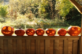 Pumpkins at Lakeside Care Farm