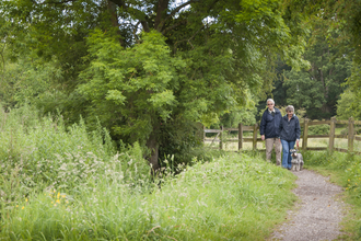 Walkers in Smallbrook Meadow