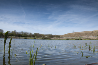 Swindon Lagoons