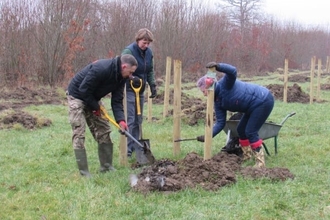 Orchard planting