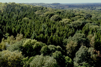 Great Wood drone image