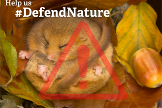 Defend Nature