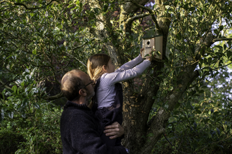 Putting up a bird box