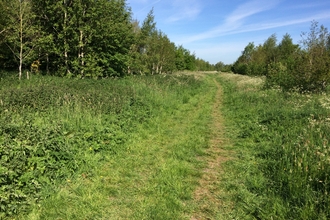 Green space in Swindon