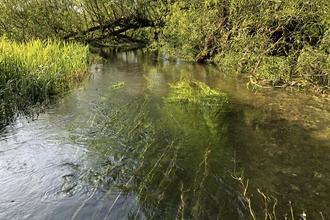 Chalk stream