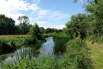 River Wylye