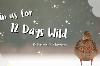 Join us for 12 Days Wild