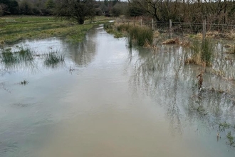 A flooded Bay Meadows nature reserve