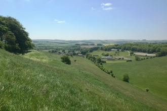Dunscombe Bottom