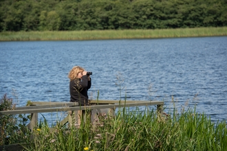 Bird Watching