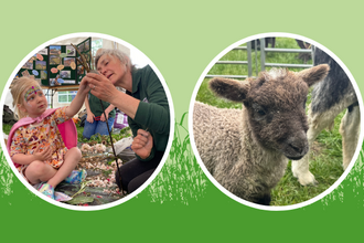 Country Comes to Town picture collage - 'hook a duck', children's craft, sheep, information