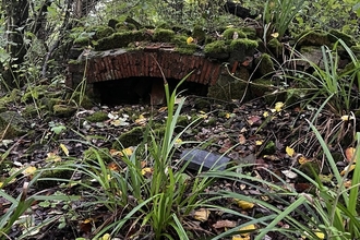 Great Wood
