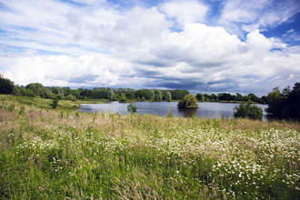 Lower Moor Farm Meadow and Lake