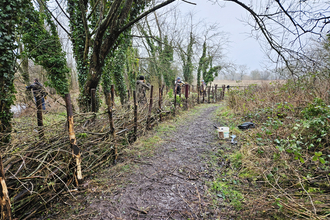 Dead hedge being constructed by team from Clegg Associates