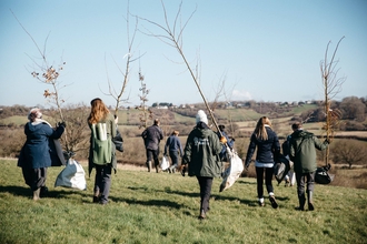 People going to plant trees