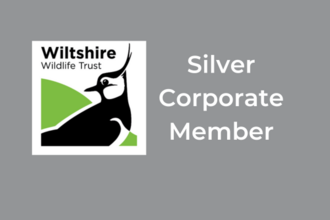 Silver Corporate Logo 