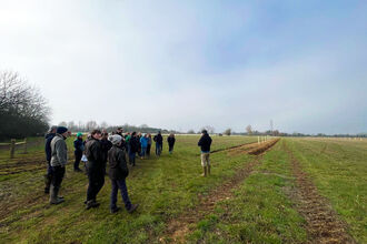 Team tree planting at Great Chalfield