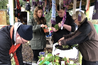 Swindon Wellbeing Allotment