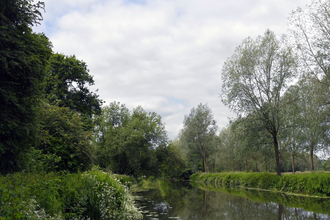 Widbrook Woods Landscape Scene with River 