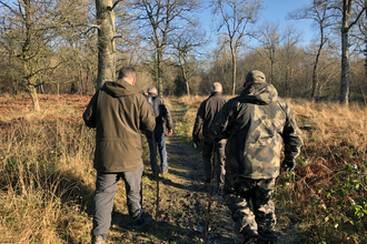 4 men on a walk in the woods with backs to camera