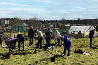 People planting trees in tree nursery and allotments, with buildings in the background