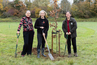 80 Oaks National Forest