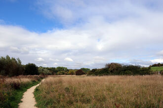 Path through long grass at Bay Meadows nature reserve with blue cloudy sky
