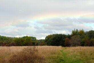 view of a meadow with faint rainbow in sky overhead