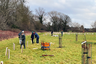 Volunteers planting trees in the field