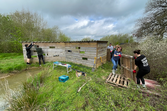 Volunteers fixing hide and carrying wood pallets