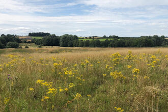 Highworth Field at Great Chalfield
