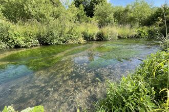 River Wylye and riverbank