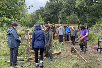 A group of young people with staff carrying out various tasks on edge of woodland