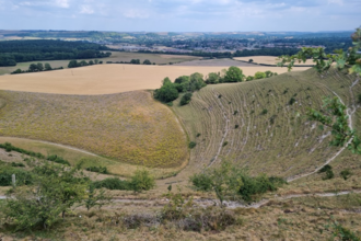 View from Cley Hill 