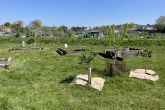 SFM Tree Nursery