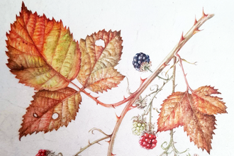 Watercolour painting of autumn leaves and berries